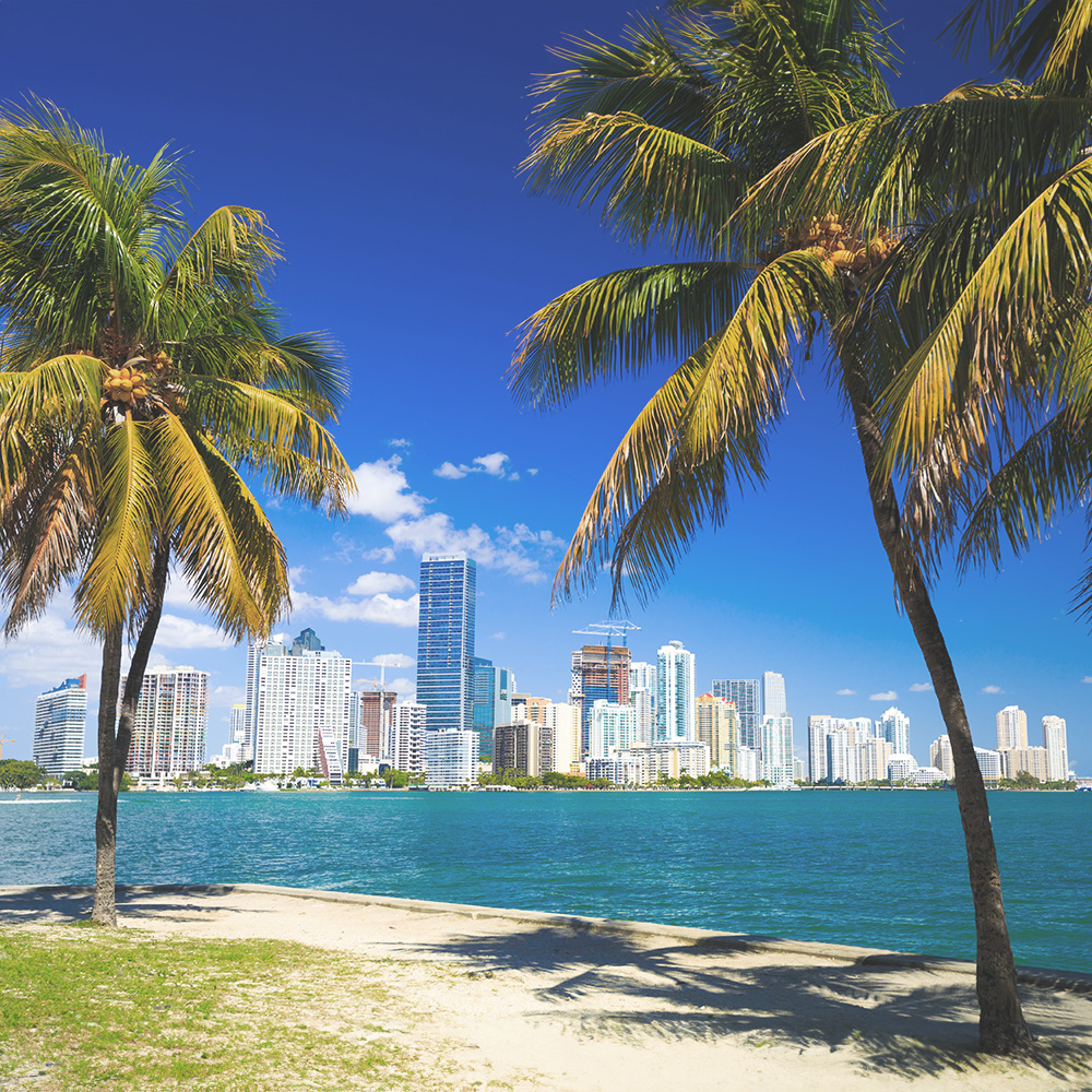 The image shows a scenic view with palm trees on the left side, a sandy beach in the foreground, and a city skyline with buildings in the background under a clear blue sky.